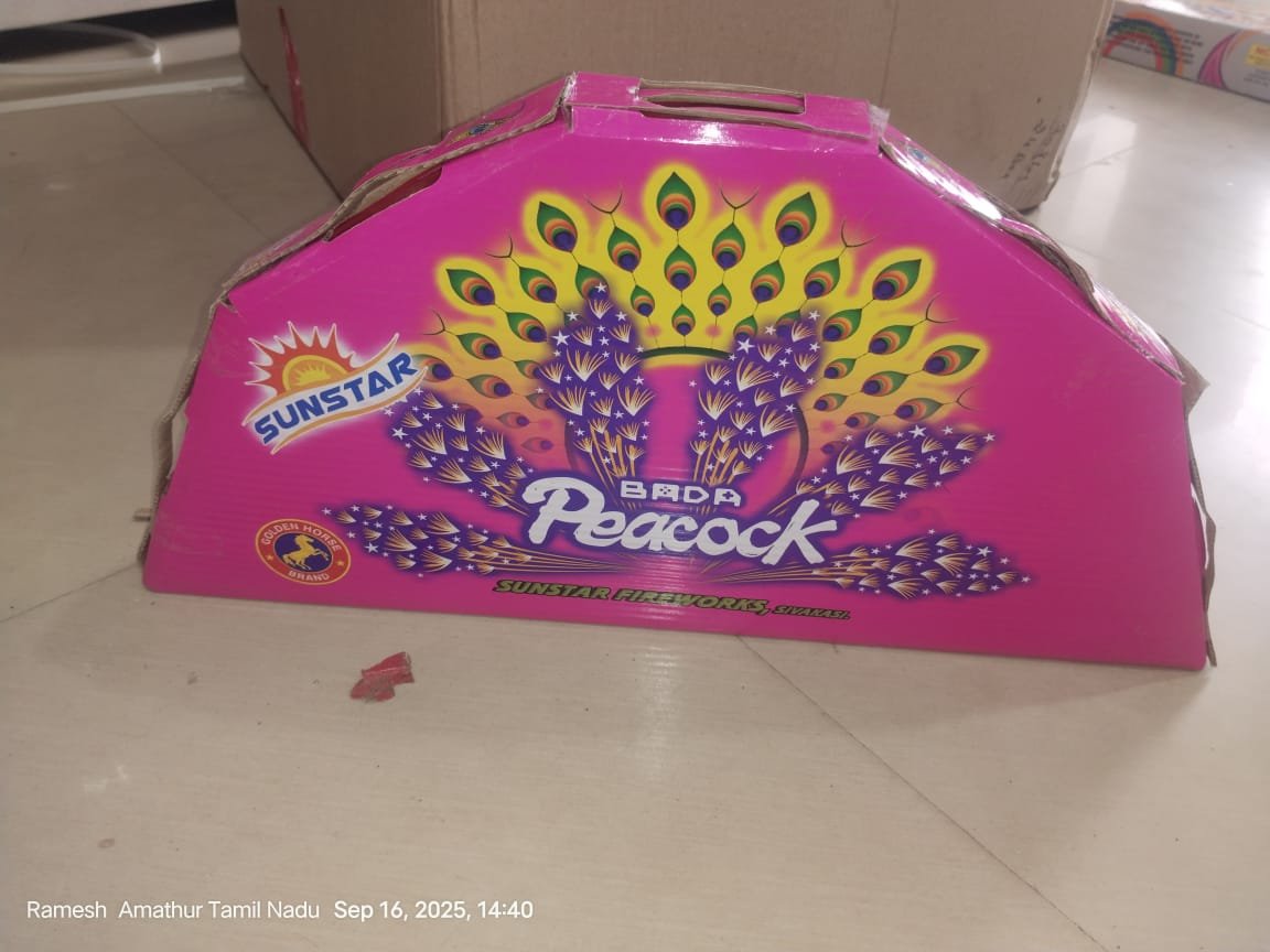 Bada Peacock / படா மயில்